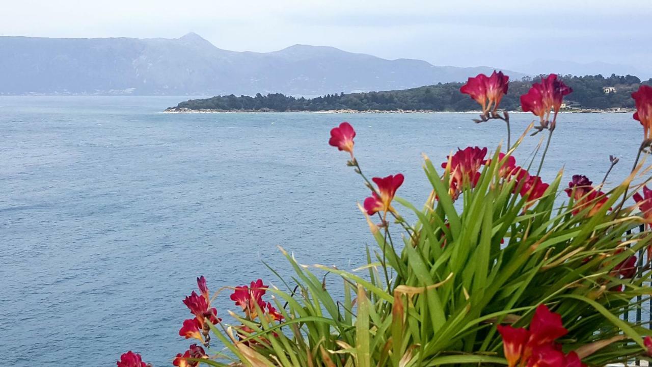 Corfu  Roof Garden House 아파트 외부 사진